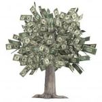 money tree